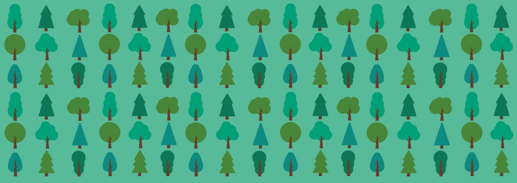 Banner_Facts_wD_Wald