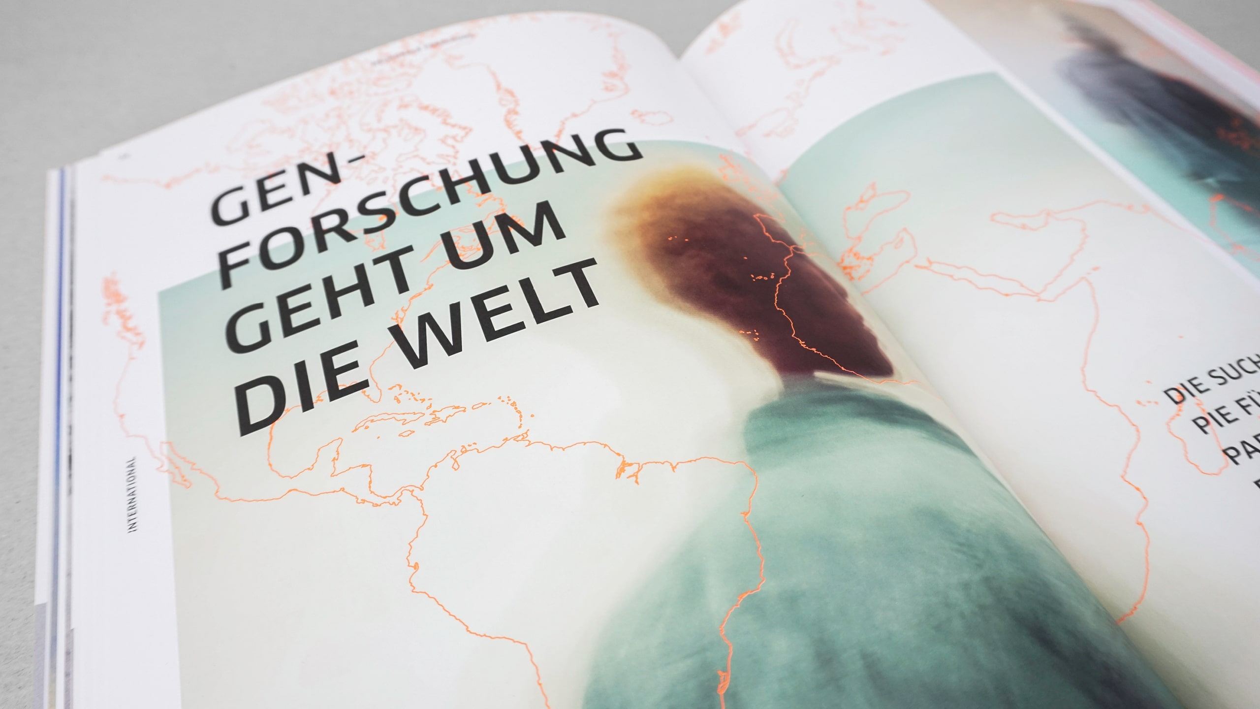 DGZ-grafiken8-min